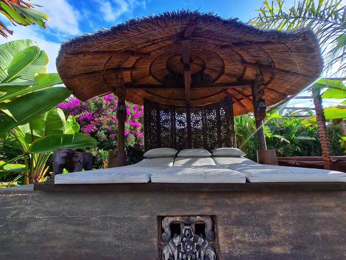 Villa Paraiso - Naturism Optional Adults Only 珀彻斯 外观 照片